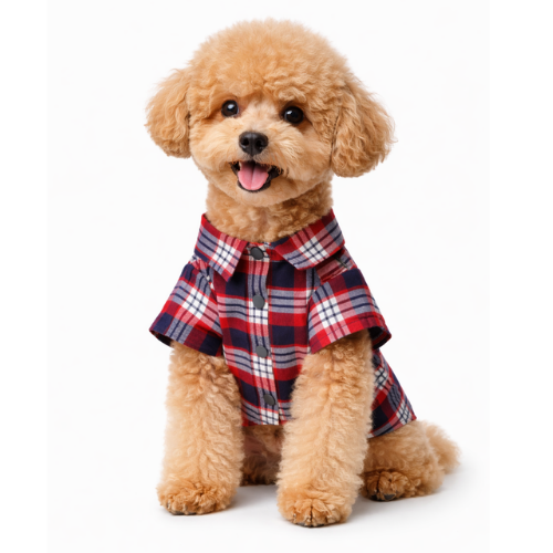 KIRMIZI EKOSE  - KIŞLIK GÖMLEK