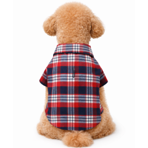 KIRMIZI EKOSE  - KIŞLIK GÖMLEK