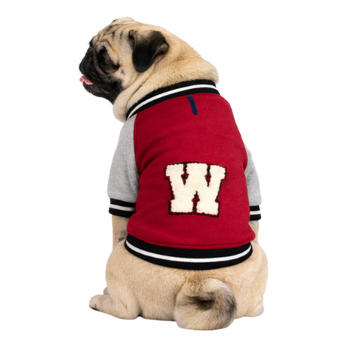 W COLLECTION - BORDO-GRİ KOLEJ CEKET