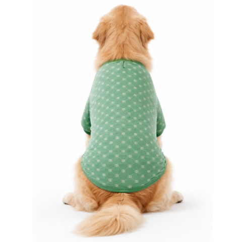 MINT YEŞİL BÜYÜK IRK SWEATSHIRT