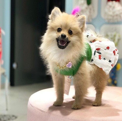 KİRAZLI MÜSLİN ELBİSE - YEŞİL ÜST