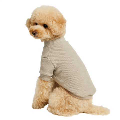 BEIGE - KAŞKORSE KOLLU TİŞÖRT