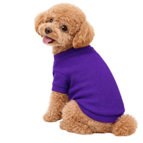 PURPLE- KAŞKORSE KOLLU TİŞÖRT