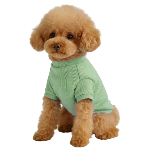 MINT - KAŞKORSE KOLLU TİŞÖRT