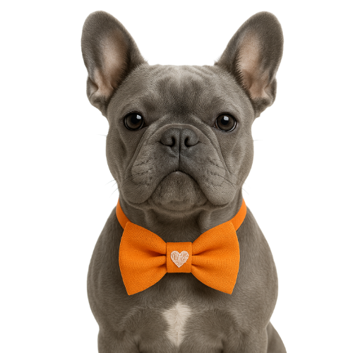 LOVE - TURUNCU PAPYON