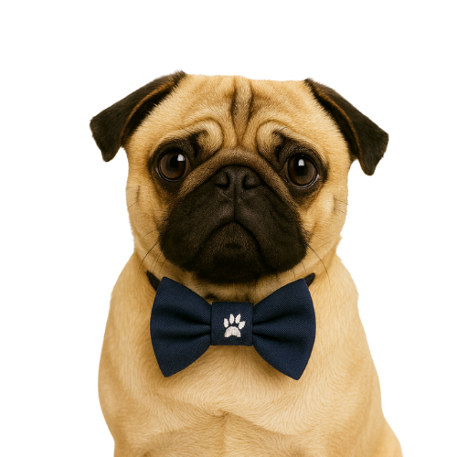 PAWS - KOYU LACİVERT  PAPYON