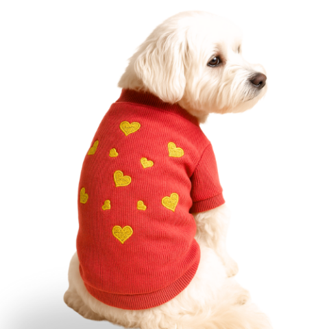 LOVE - NAR ÇİÇEĞİ KAŞKORSE BASIC SWEATSHIRT