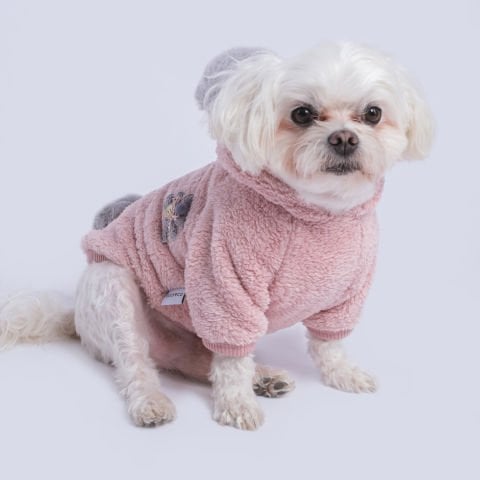 BEAR-PUDRA WELSOFT SWEATSHIRT