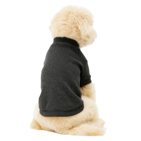 ANTRASIT - KAŞKORSE KOLLU TİŞÖRT