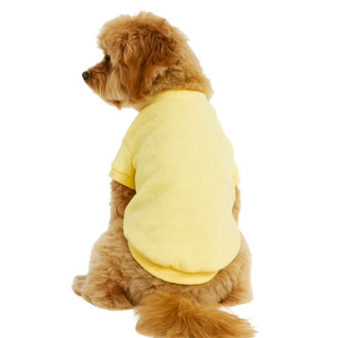 LİMON SARI - KAŞKORSE KOLLU TİŞÖRT