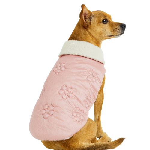 PUDRA   -  KAPİTONE YELEK