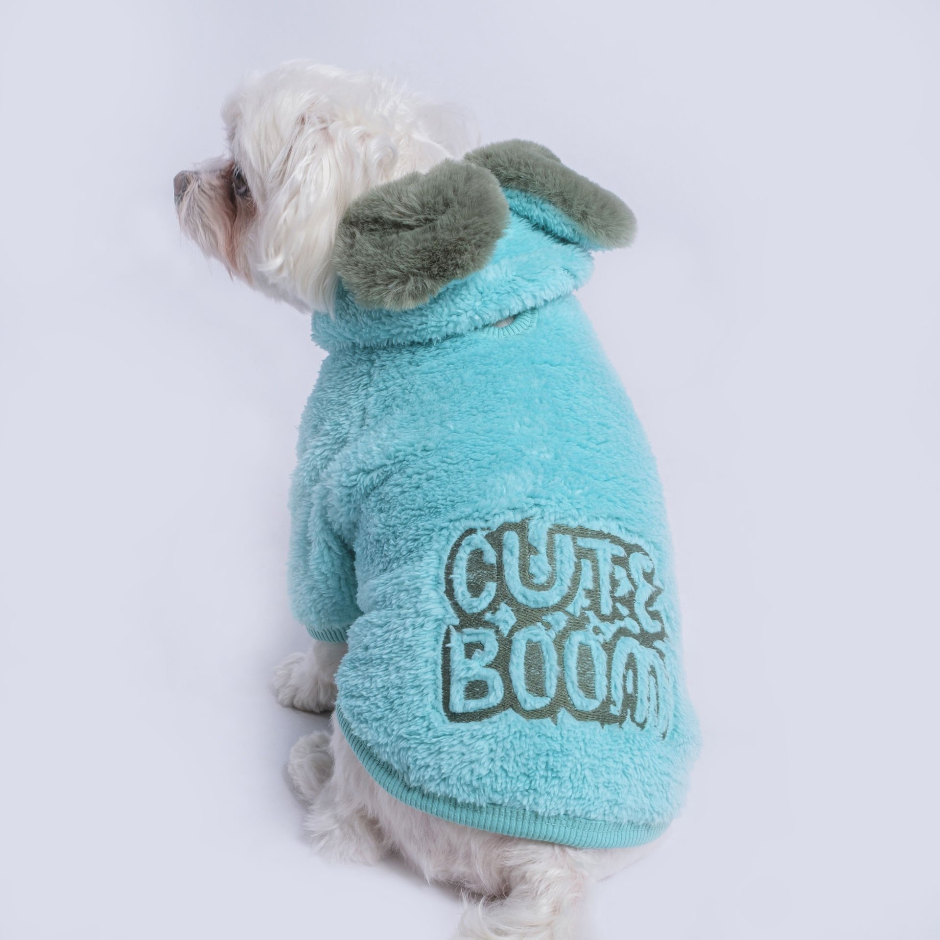 CUTE BOOM  - MINT WELSOFT SWEATSHIRT
