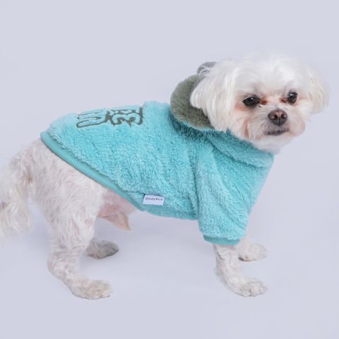 CUTE BOOM  - MINT WELSOFT SWEATSHIRT