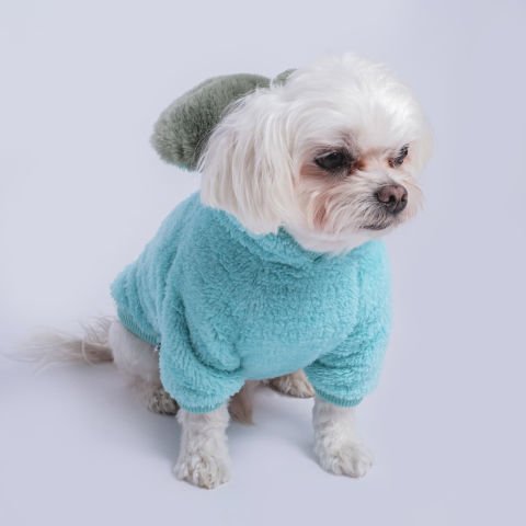 CUTE BOOM  - MINT WELSOFT SWEATSHIRT