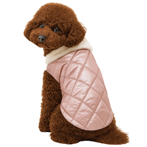 SHINY PUDRA     -  KAPİTONE ŞİŞME YELEK