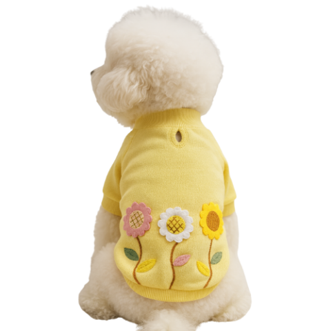 DAISY YELLOW  SWEATSHIRT - İÇİ POLARLI