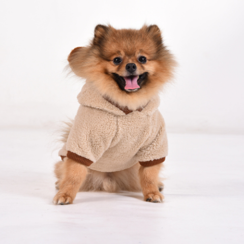 AYICIK KULAK BEJ WELSOFT  SWEATSHIRT