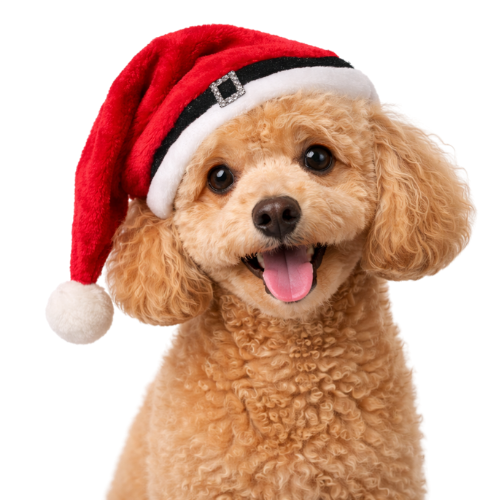 NOEL ŞAPKA ( KÜÇÜK IRK & KEDİ )